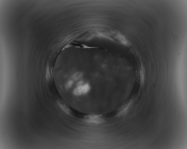 X0000084520093200703231640