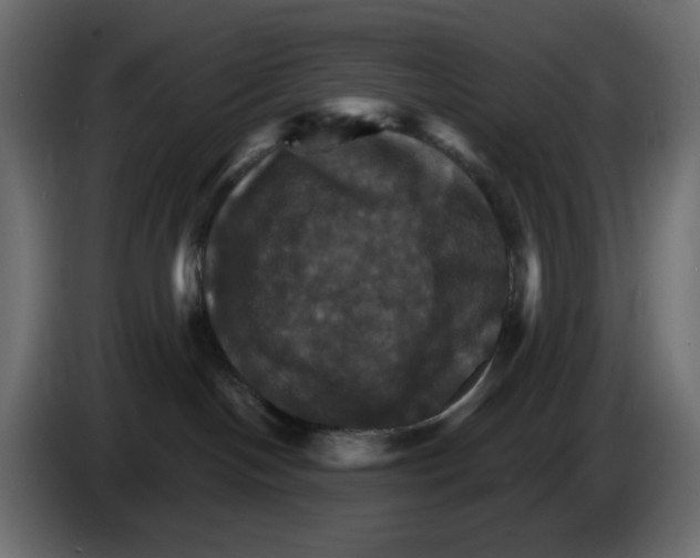 X0000084520094200703231640