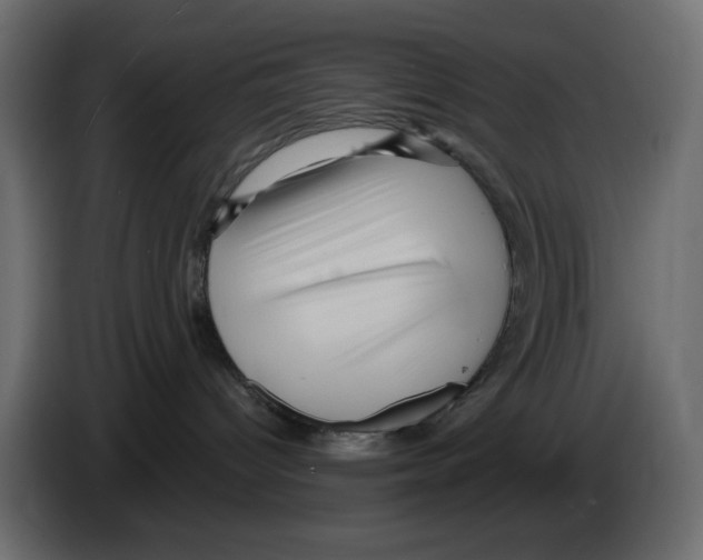 X0000084520096200703231640