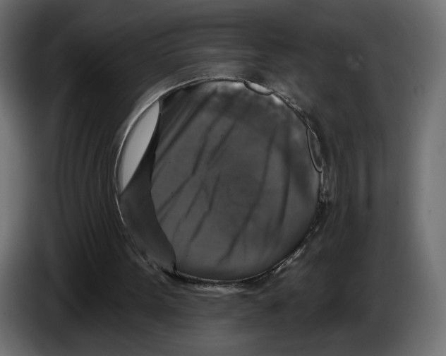 X0000084520099200703231639