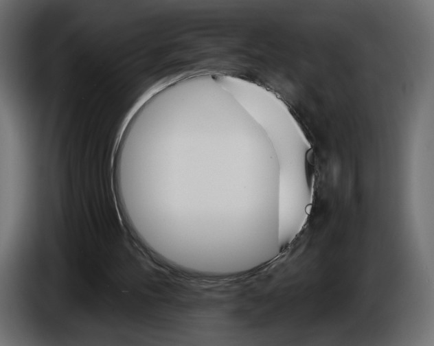 X0000084520100200703231639