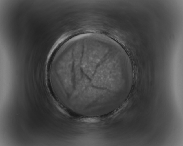 X0000084520102200703231639