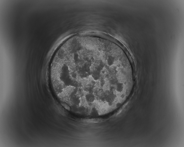 X0000084520103200703231639