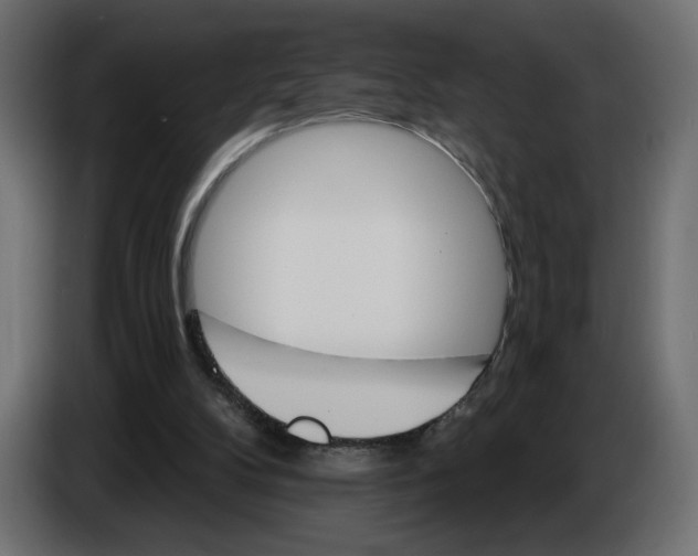 X0000084520104200703231639