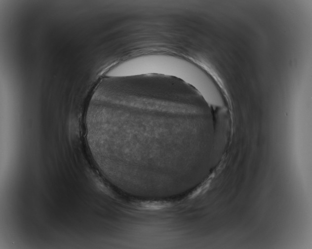 X0000084520105200703231639
