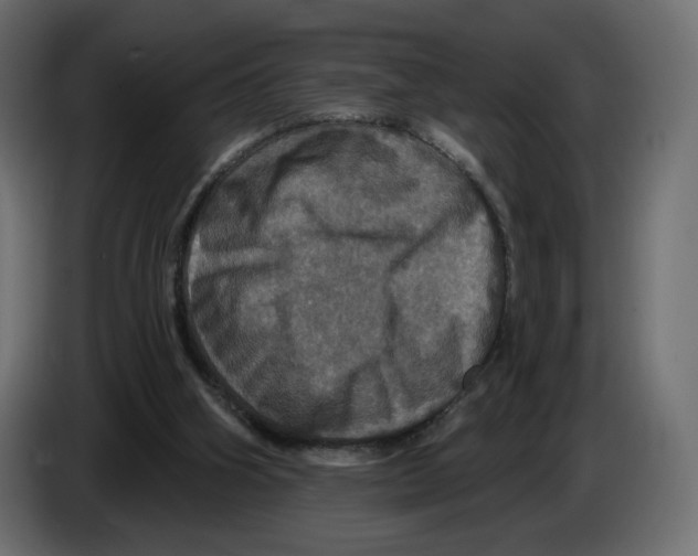 X0000084520106200703231639
