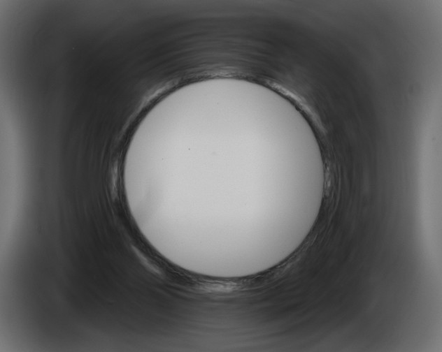 X0000084520110200703231639