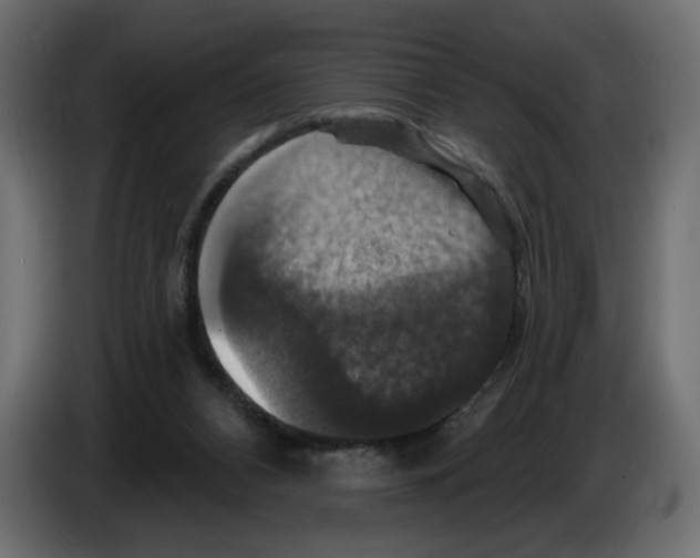 X0000084520112200703231639
