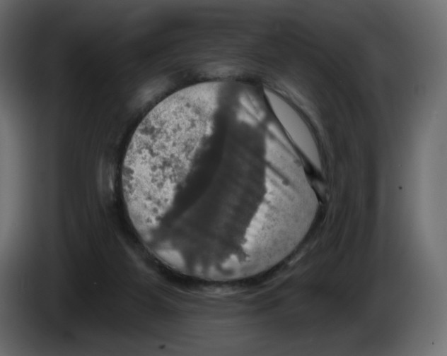 X0000084520115200703231639