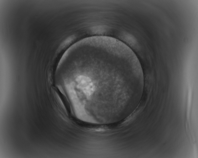 X0000084520116200703231639
