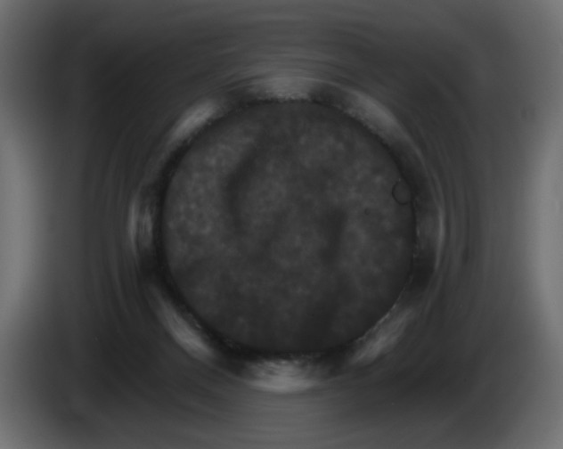 X0000084520120200703231639