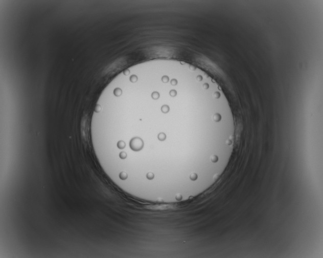 X0000084520122200703231639
