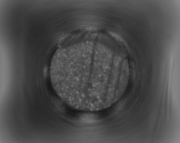 X0000084520123200703231639