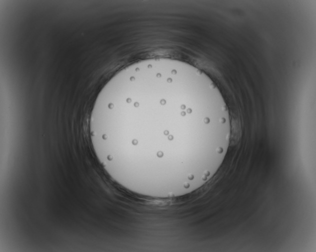 X0000084520126200703231639