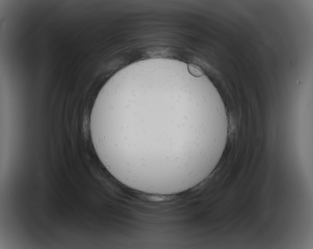 X0000084520130200703231639