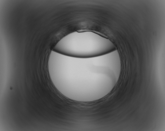X0000084520137200703231639