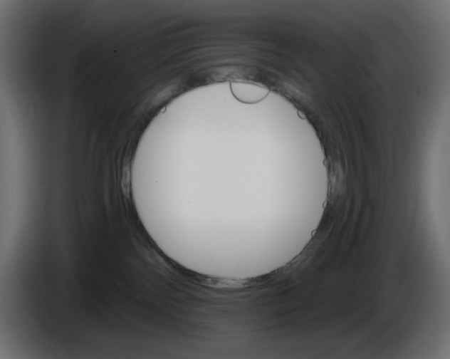 X0000084520138200703231639