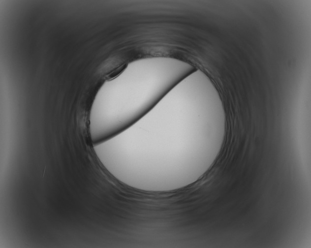 X0000084520141200703231639