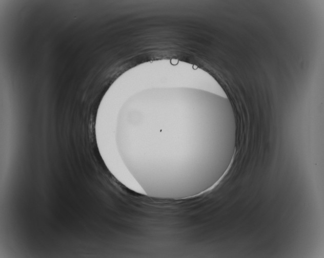 X0000084520144200703231638