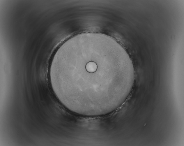 X0000084520146200703231638
