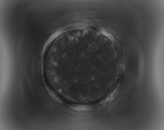 X0000084520149200703231638