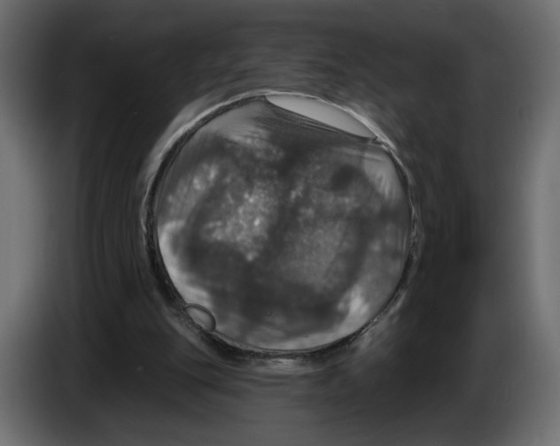 X0000084520151200703231638