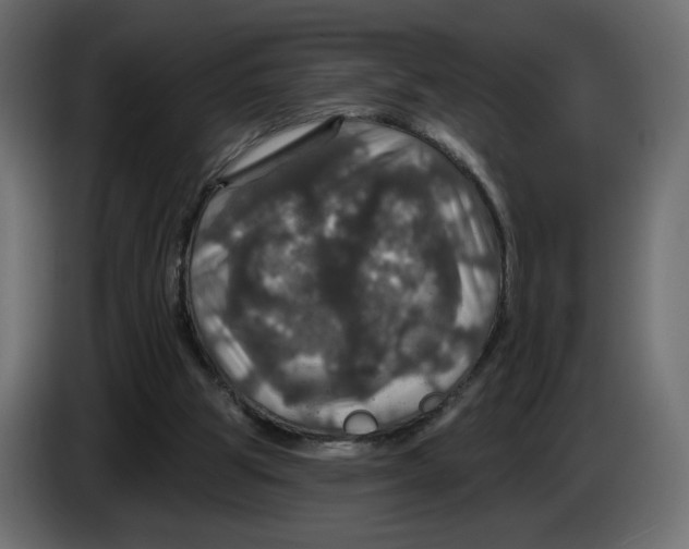 X0000084520153200703231638