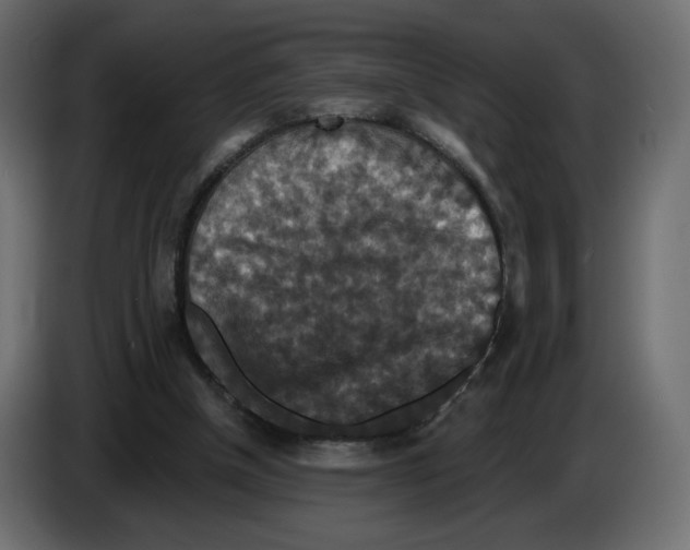 X0000084520154200703231638
