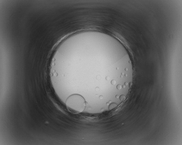 X0000084520155200703231638