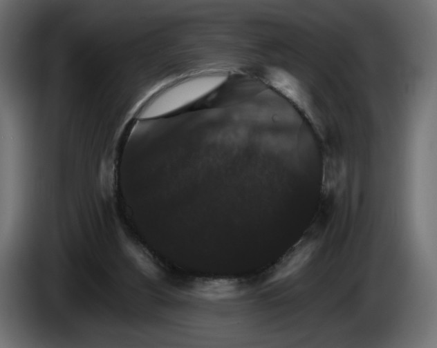 X0000084520156200703231638