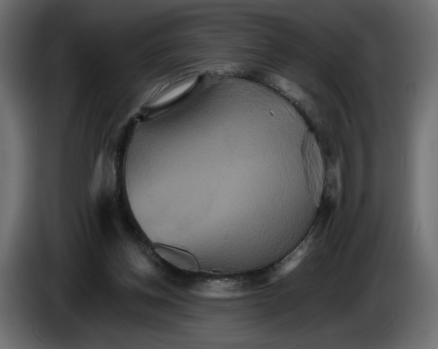 X0000084520158200703231638