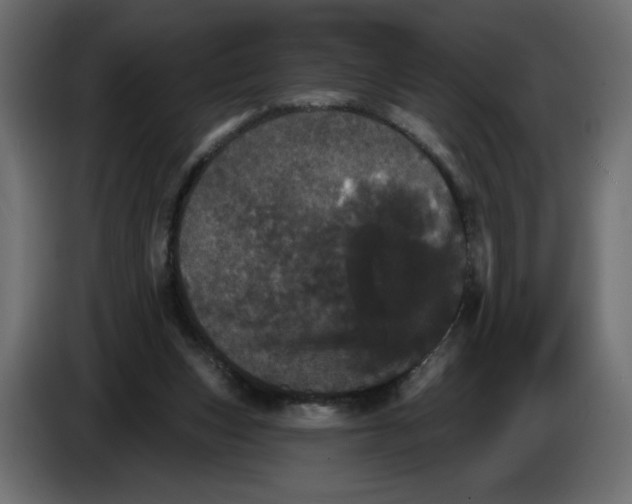 X0000084520159200703231638