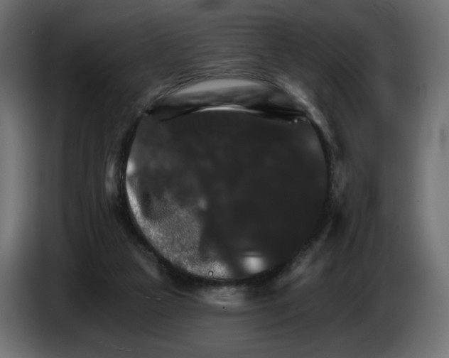 X0000084520161200703231638