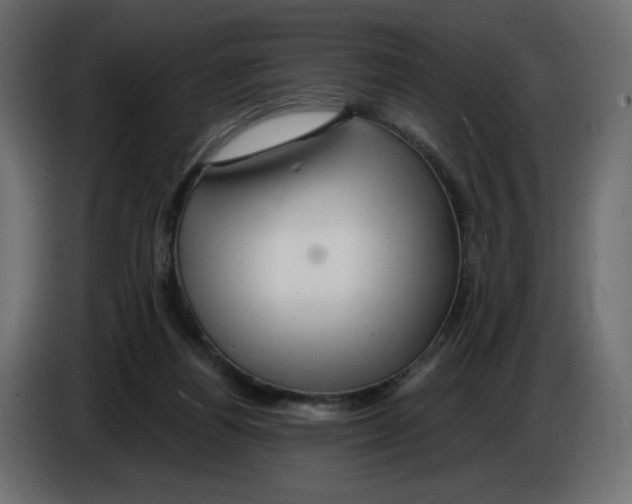X0000084520164200703231638