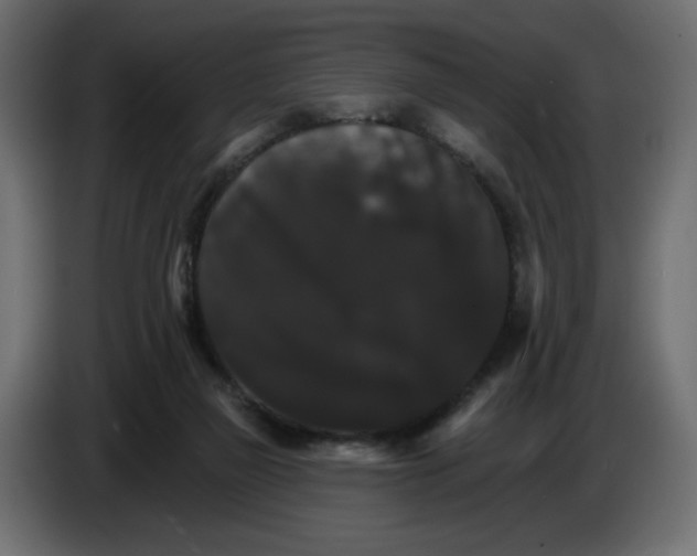X0000084520165200703231638