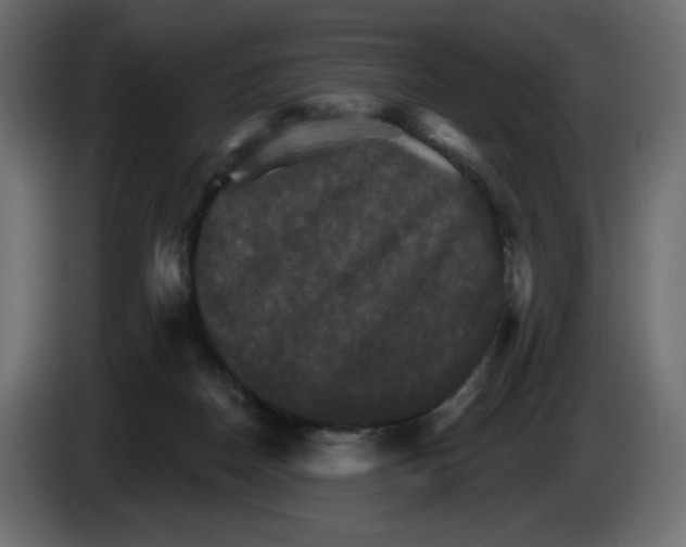 X0000084520170200703231638
