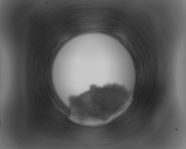 X0000084520171200703231638