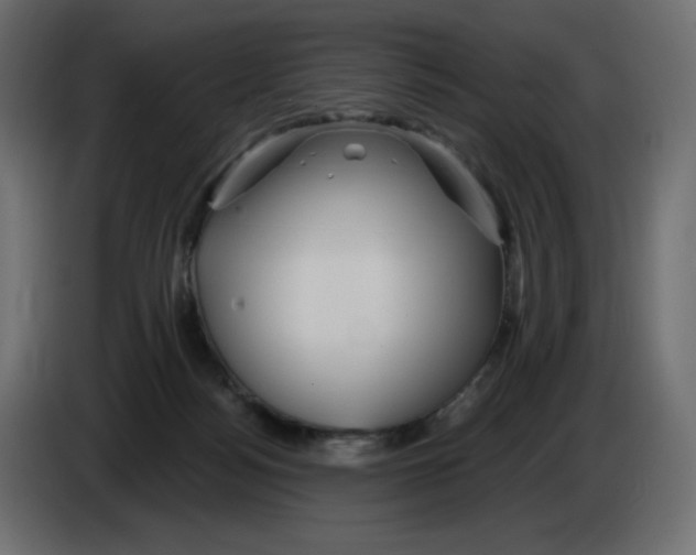 X0000084520172200703231638