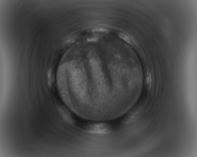 X0000084520173200703231638