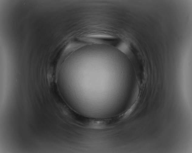 X0000084520174200703231638