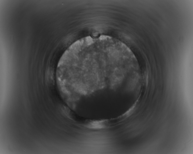 X0000084520178200703231638