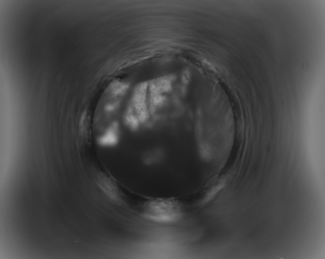 X0000084520181200703231638