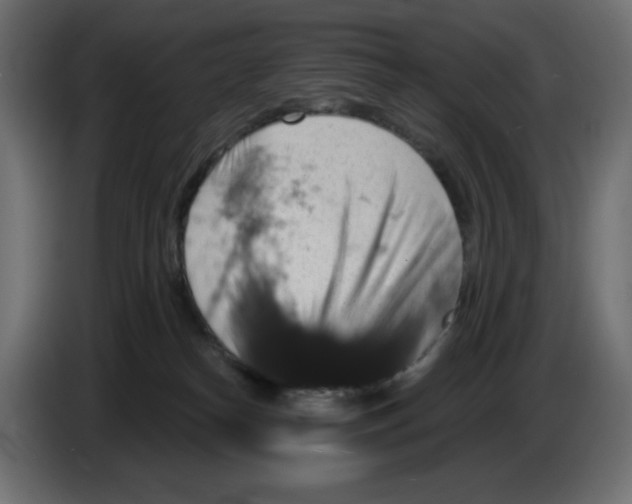 X0000084520182200703231638