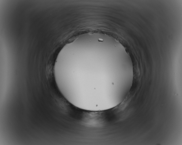 X0000084520184200703231638
