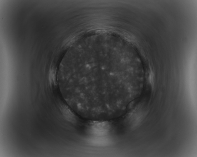 X0000084520185200703231638