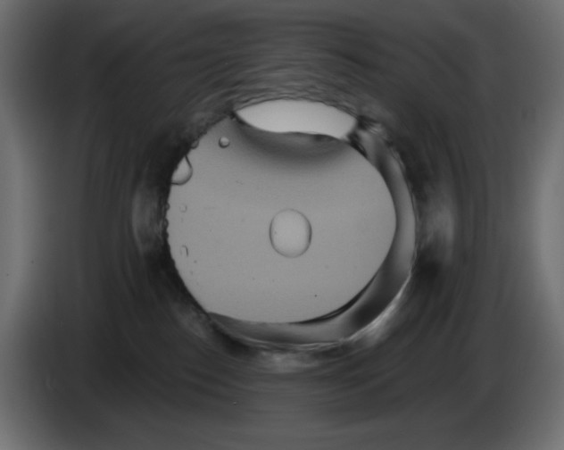 X0000084520186200703231638