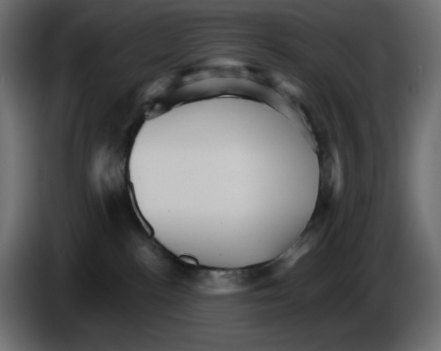 X0000084520188200703231638
