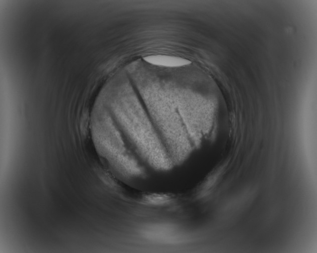 X0000084520189200703231638