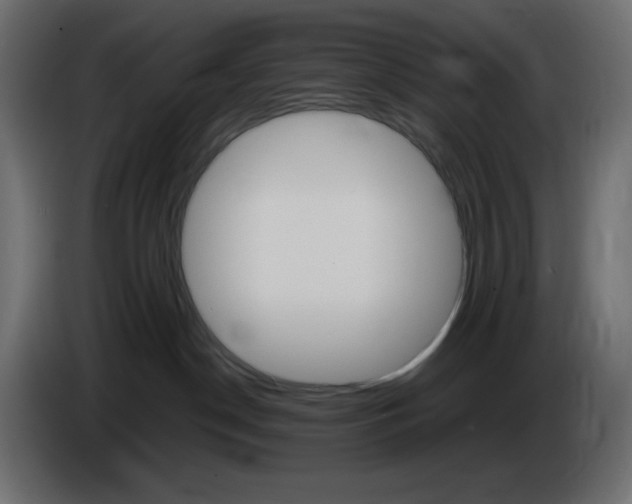 X0000084520190200703231638
