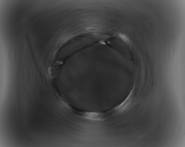 X0000084520192200703231638